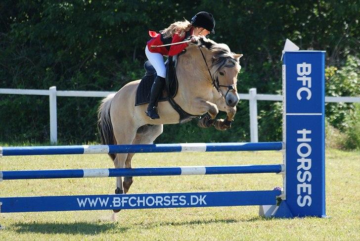 Anden særlig race Cognac - LA** Anderup Cup Finale 2011! billede 7