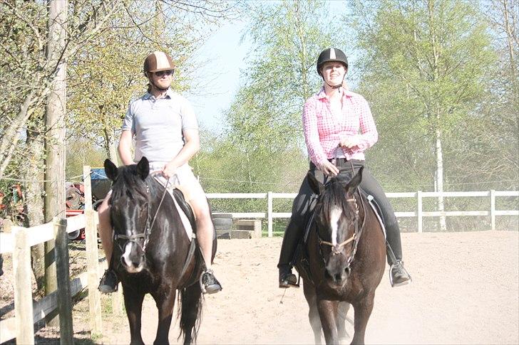 Trakehner Kantate Dyrhave (solgt)  - T.v Kærsten på Kamelia (Kantates mor) o g t.h  mig på Kantate billede 6