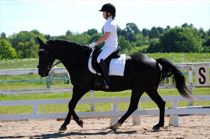 Anden særlig race Diablo - Diablo og jeg til stævne på LIND juni 2011 :) Her i en LC3. [Foto: Sofie med mit kamera] billede 14