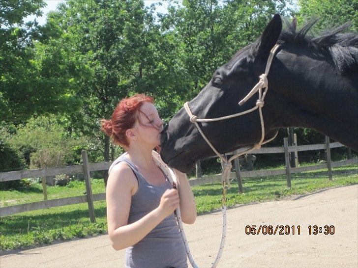 Oldenborg Horsebjerg Debutante <3 †  - Kyyyyyys <333 
Hvad sku jeg gøre uden dig`?
Hvem skulle få smilet frem på mine læber? 
Jeg fortryder intet<3
Du er min bedste ven<3 billede 3