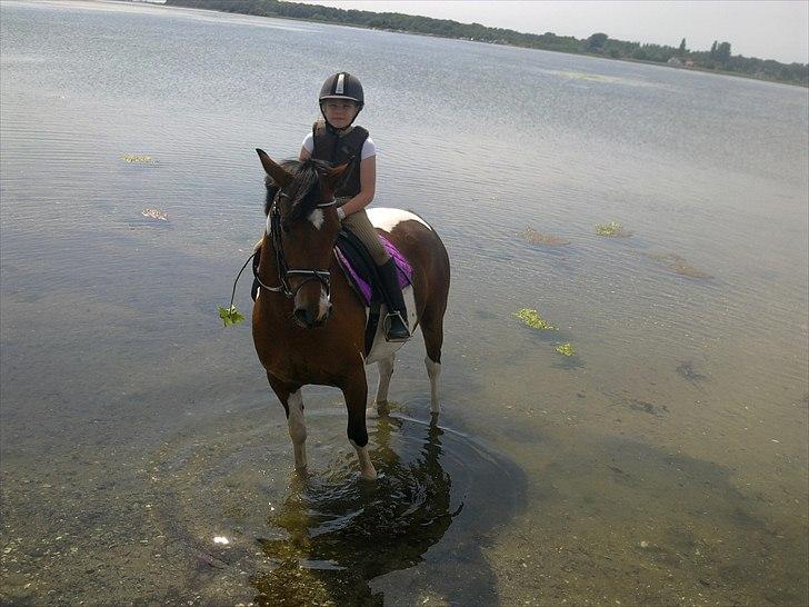 Anden særlig race  bella billede 14