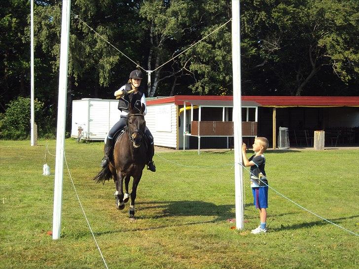 Anden særlig race Maya - "For Sjov" Ringridning på sølsted sportsplads. - D: 5.6.11 billede 11