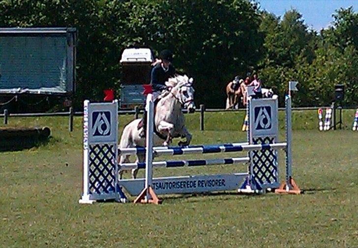 Connemara Sdr. Vestermark Carreen  - mig og carreen i Billund Sjm<3 billede 1