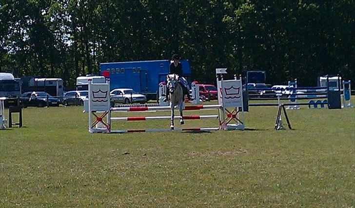 Connemara Sdr. Vestermark Carreen  - mig og carreen i billund sjm -11<3 billede 11