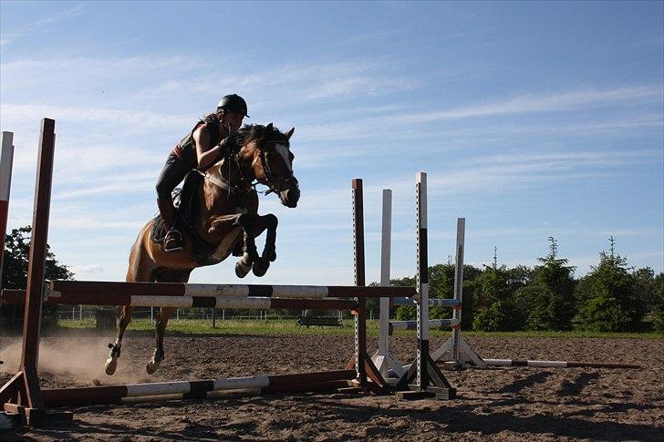 DSP Pilot af Idskov - Springning. billede 10