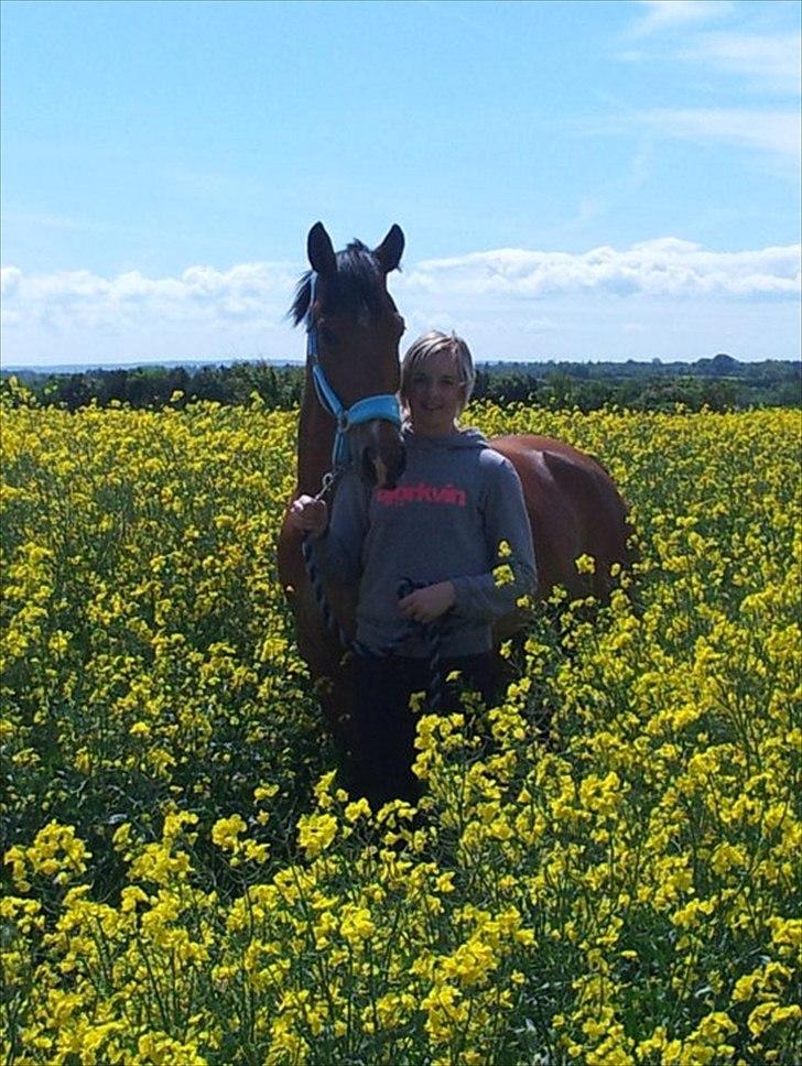 Appaloosa Andree DRØMMEPONYEN!<3 SOLGT billede 1