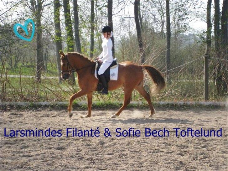 DSP Larsmindes Filanté - Opvarmning i Drlr til LC1. Foto:? Redigering: Mig  billede 6