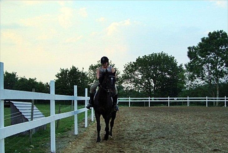 Anden særlig race Bella  - Foto: min mor :) billede 11