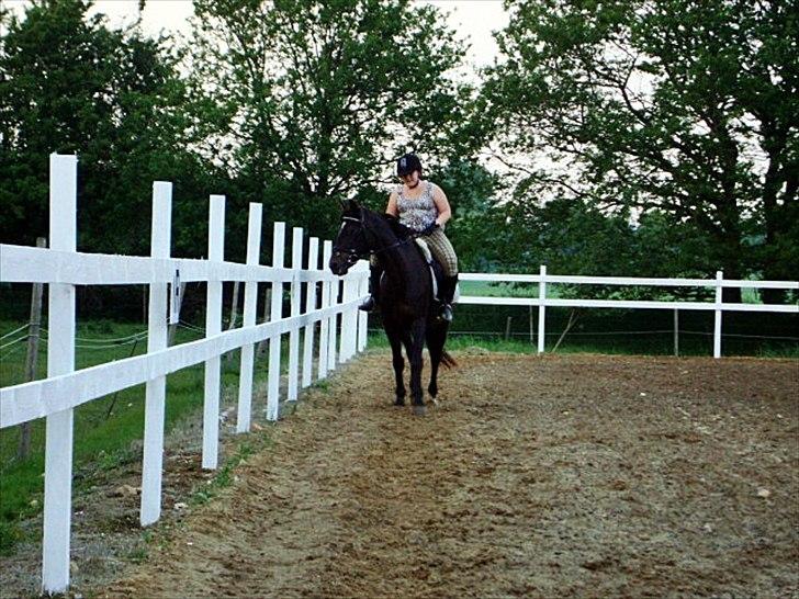 Anden særlig race Bella  - Foto: min mor :) billede 12