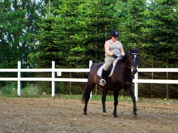 Anden særlig race Bella  - Foto: min mor :) billede 13