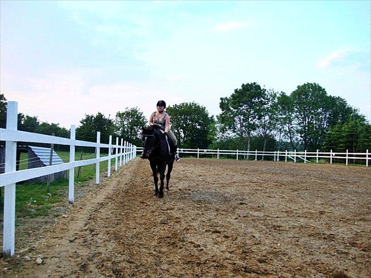 Anden særlig race Bella  - Foto: min mor :) billede 14