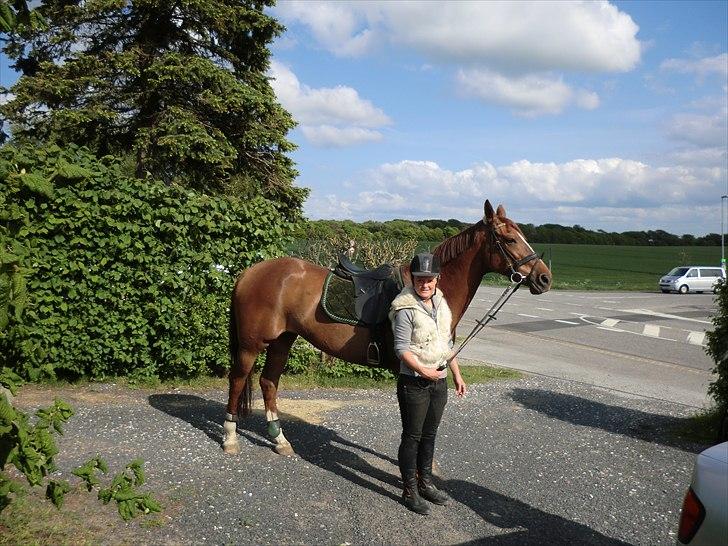 Dansk Varmblod Selina Guinnes  - Selina og jeg <3 billede 8