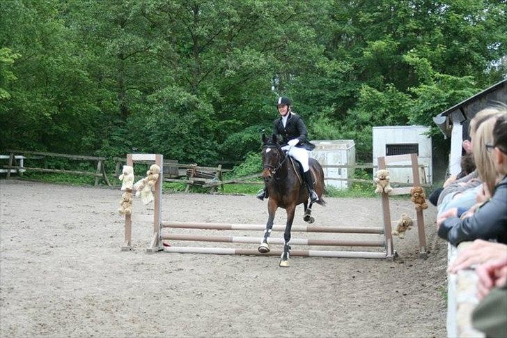 Fuldblod (XX) Lord De Luxe  *Passer* - Første spring stævne ude ;] billede 18