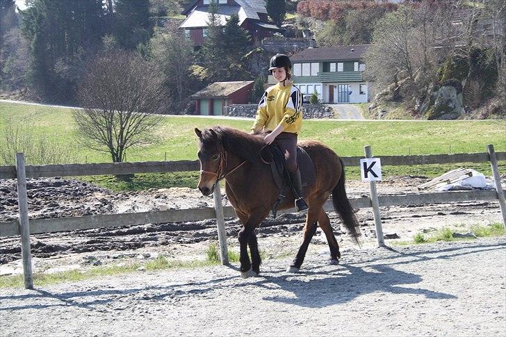 Islænder Saga frå Bringsværd <3 billede 2