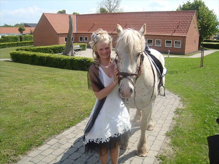 Noriker julius drømmeponyen<3 billede 11