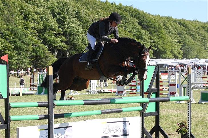 Anden særlig race Conan billede 19