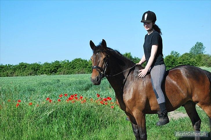 Anden særlig race Nørregårdens Eros <3 *SOLGT*    - Velkommen til Eros profil<3
Dagen hvor han blev hentet<3 billede 1