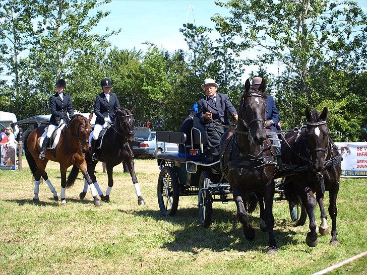 Oldenborg Flying Betty ROL 9674 - oldenborgkvadrille 2011 billede 6