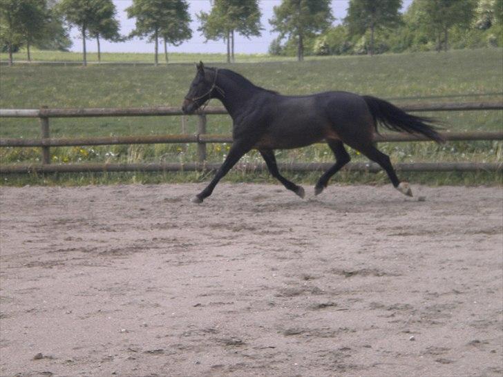 Traver Moenia Du Nj´or *Tøzzen* billede 11