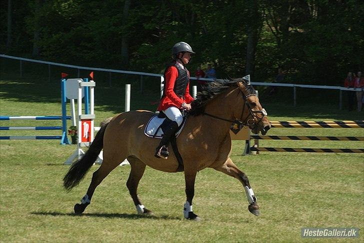 Anden særlig race Bertha-Louise billede 20