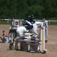 Anden særlig race Just My Luck