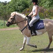 Anden særlig race Athene <3