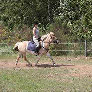 Anden særlig race Athene <3