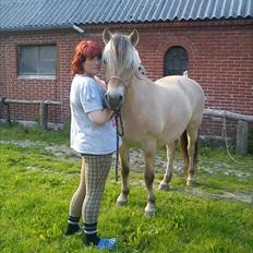 Fjordhest Smilla Halsnæs (Familiehest)