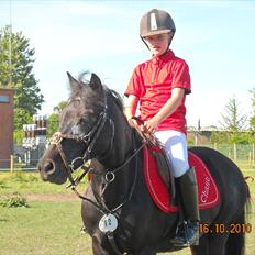 Welsh Mountain (sec A) * * * *Chanti* * * * my prinses ever <3<3<3<3<3333