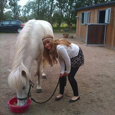 Islænder Elfa fra Katulabo