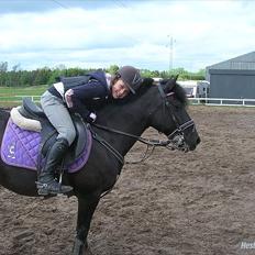 Anden særlig race Toxic Daisy <3 (SOLGT)