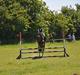 Welsh Pony (sec B) Amigo Ferrari min elskede savnet solgt