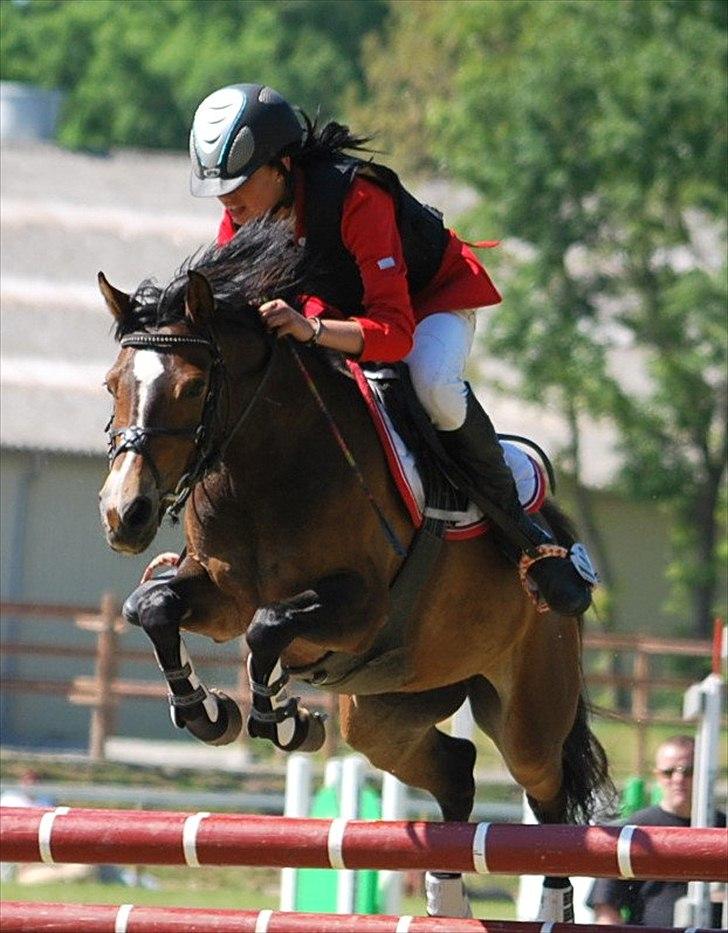 Anden særlig race FlyingSuprice A-pony - billedet er købt og betalt.
Morsø 2011 LA** pulje spring 1plads billede 2