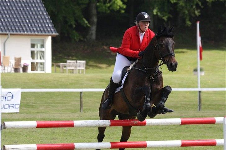 Anden særlig race Knut solgt! - Morsø 2011 - LB** billede 14
