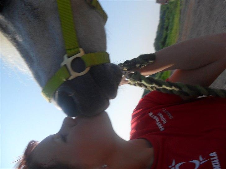 Anden særlig race felix<3<3  gml. pony:( billede 15