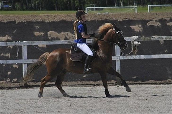 New Forest Sun Fire l Soulmate l - Sløfespring -HUR
70 cm og 80 cm startede vi og vi sprang stor vandgrav :'D så stolt af det dejlige dyr :D 
*MariaSchjerningFoto* billede 3