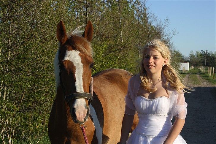 Pinto Nerolientje billede 2