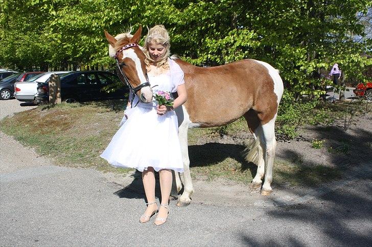 Pinto Nerolientje billede 4