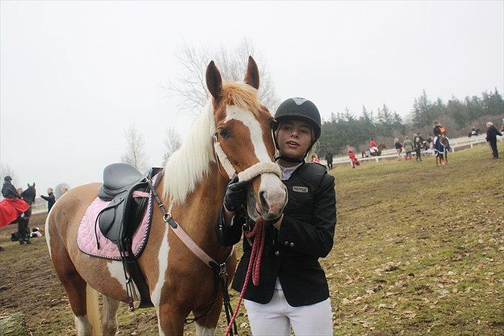 Pinto Nerolientje billede 7