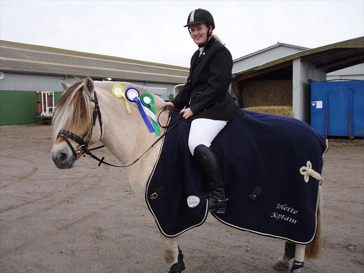 Fjordhest Bolette Kaptain - vinder af fvk-cup 2010 d. 18/10 2010 billede 1