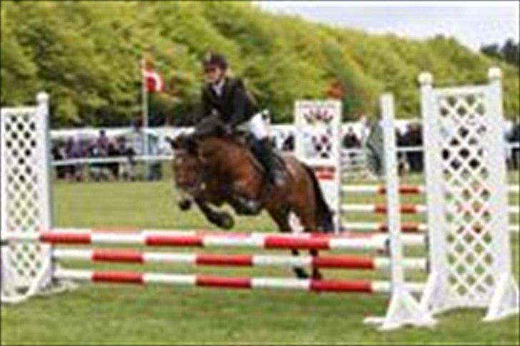 New Forest Knud den store billede 14