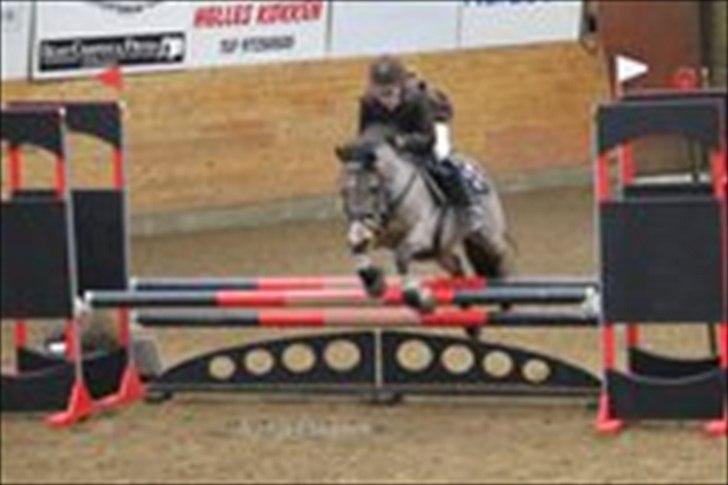 New Forest Knud den store billede 18