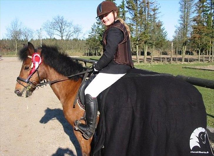 New Forest Knud den store billede 19