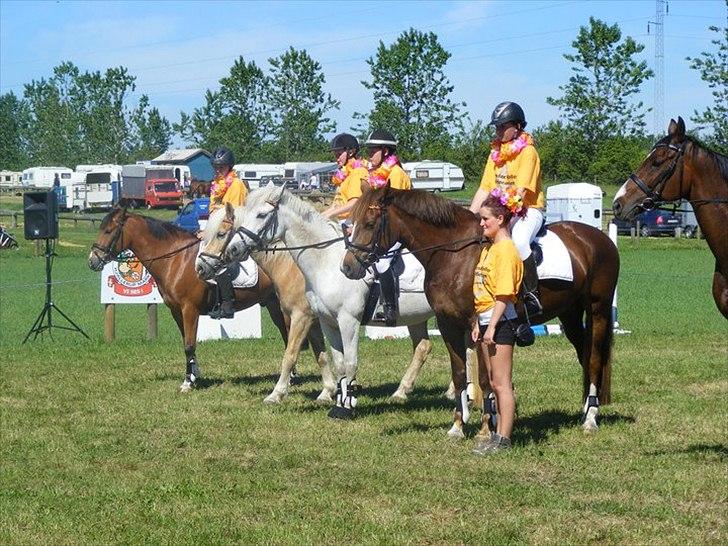 New Forest Nyskoven's Bellis, ridder - præmie overrækkelse ponygames hjallerup marked. foto marianne vestergaard billede 19