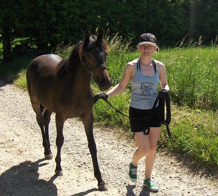 Anden særlig race Wojska - JUNI 2011 billede 3