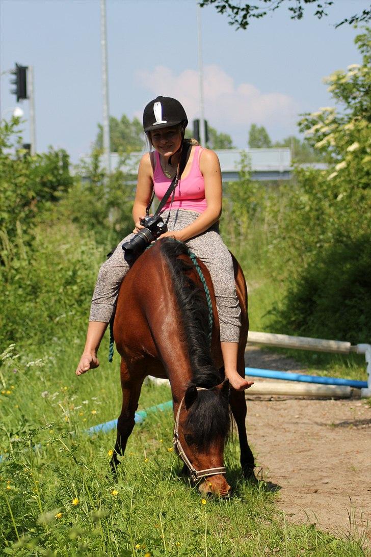 Anden særlig race Cassiopeia DEN SAVNEDE!<3 - Allways in my heart!!!<3 Tak for de fedeste tideer! Love you (': billede 1