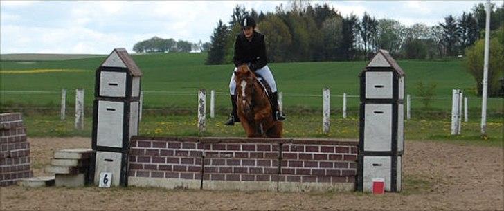 Anden særlig race Smarties<33 R.I.P. - stævne 1 maj 2011:D billede 16
