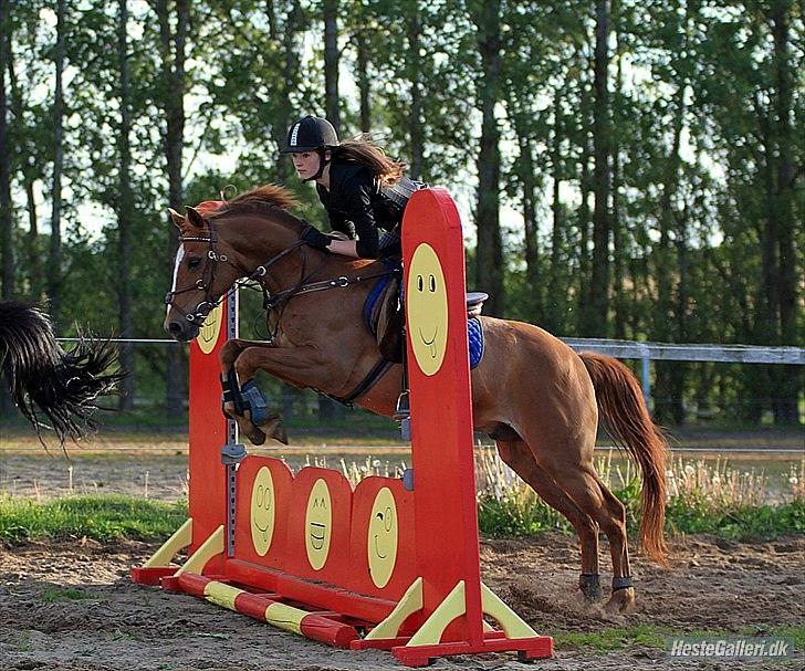 Anden særlig race Smarties<33 R.I.P. - foto: Pia Lundberg billede 18