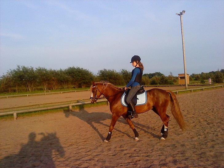 DSP Mo Cuishle  billede 3