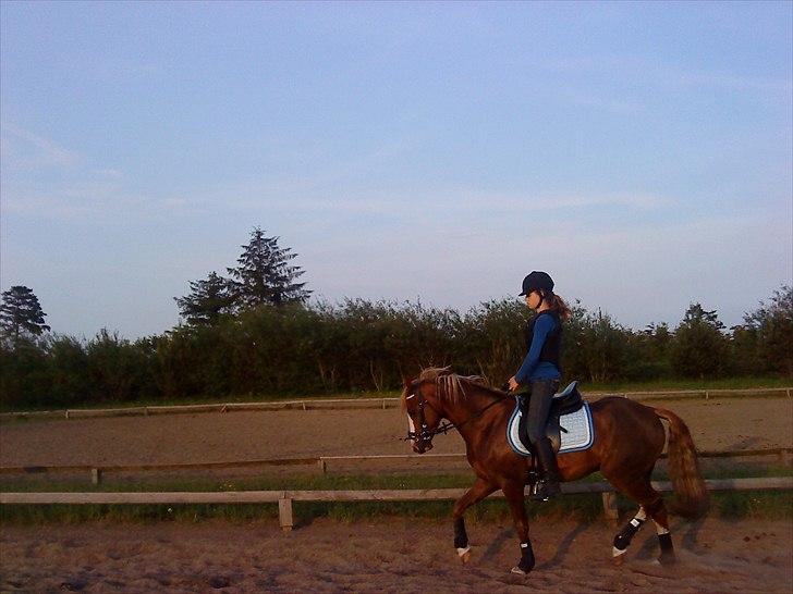 DSP Mo Cuishle  - 4. gang på ryggen af ham, 2. gang her hjemme.
Du var SÅ dygtig!! <3 billede 2